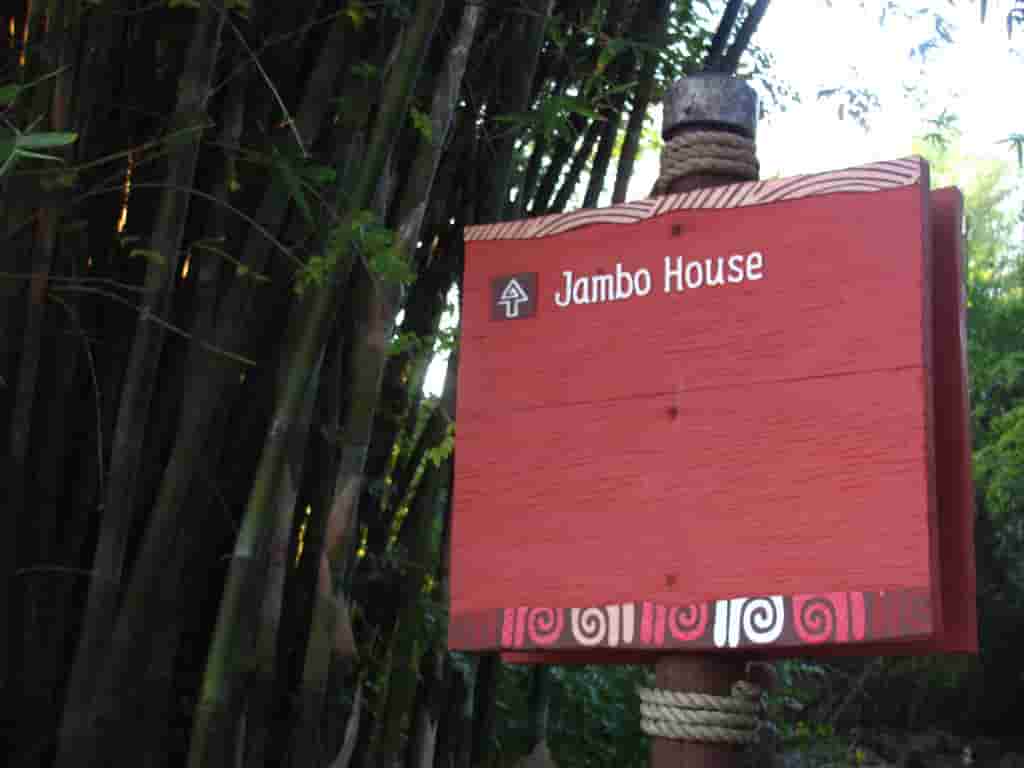 DVC resale – Explore magical Disney resorts and adventures.