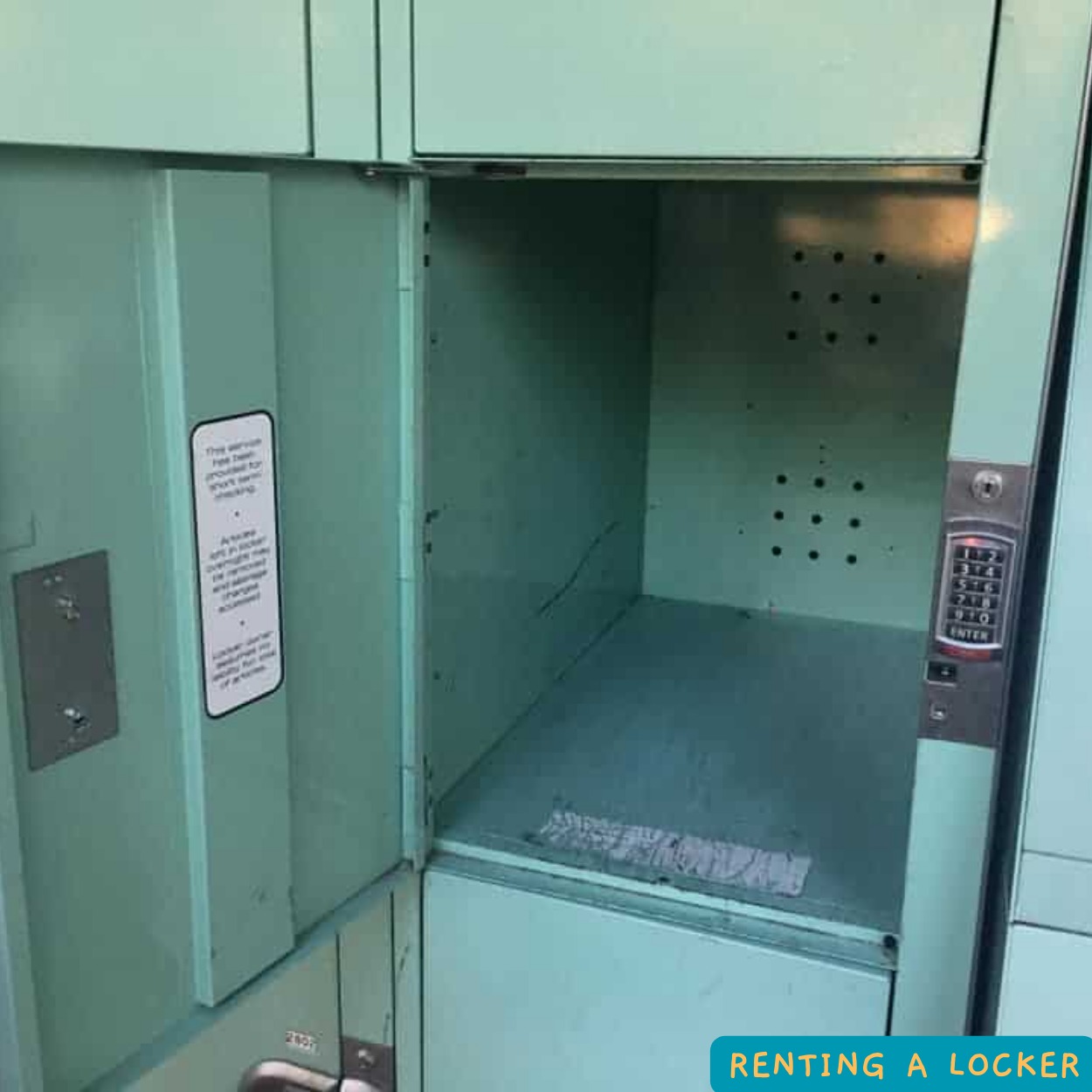 DVC resale – Explore magical Disney resorts and adventures.