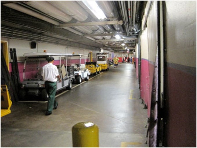 Hidden gem at Disney Vacation Club resort showcasing unique park features.