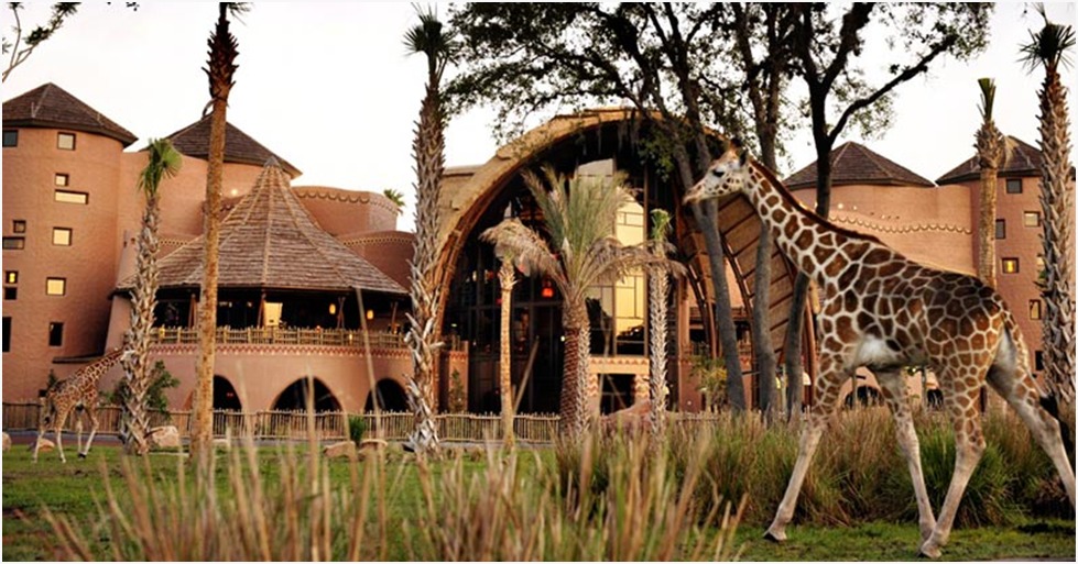 DVC resale &ndash; Explore magical Disney resorts and adventures.