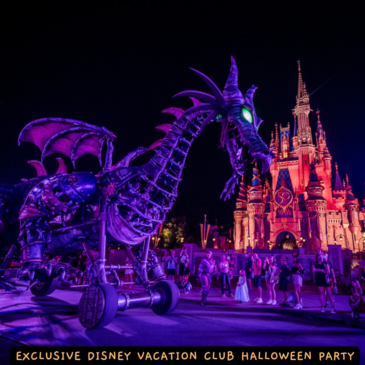 DVC resale &amp;amp;ndash; Explore magical Disney resorts and adventures.