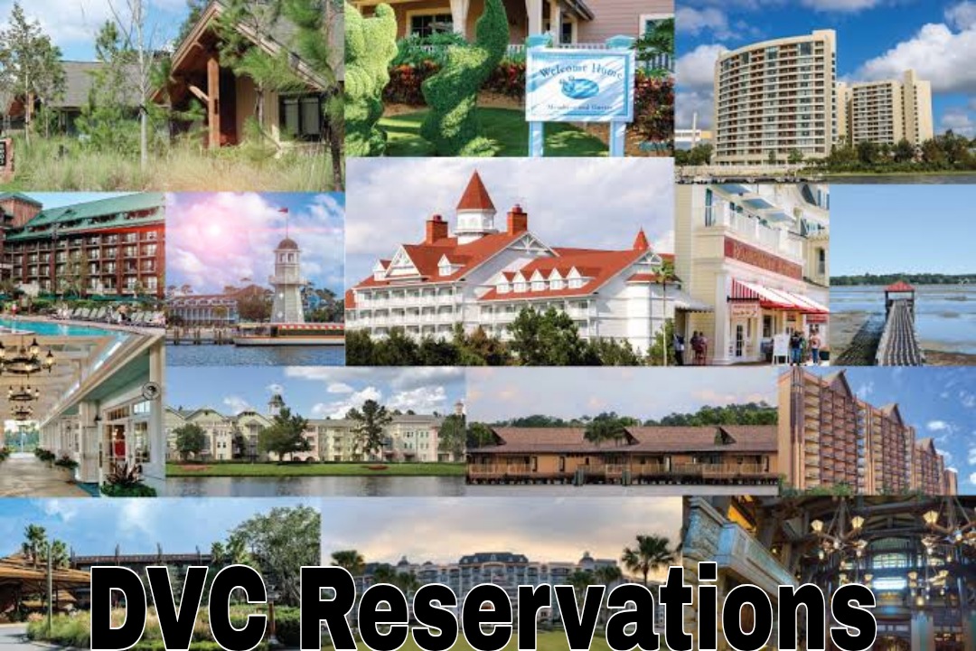 DVC resale – Explore magical Disney resorts and adventures.
