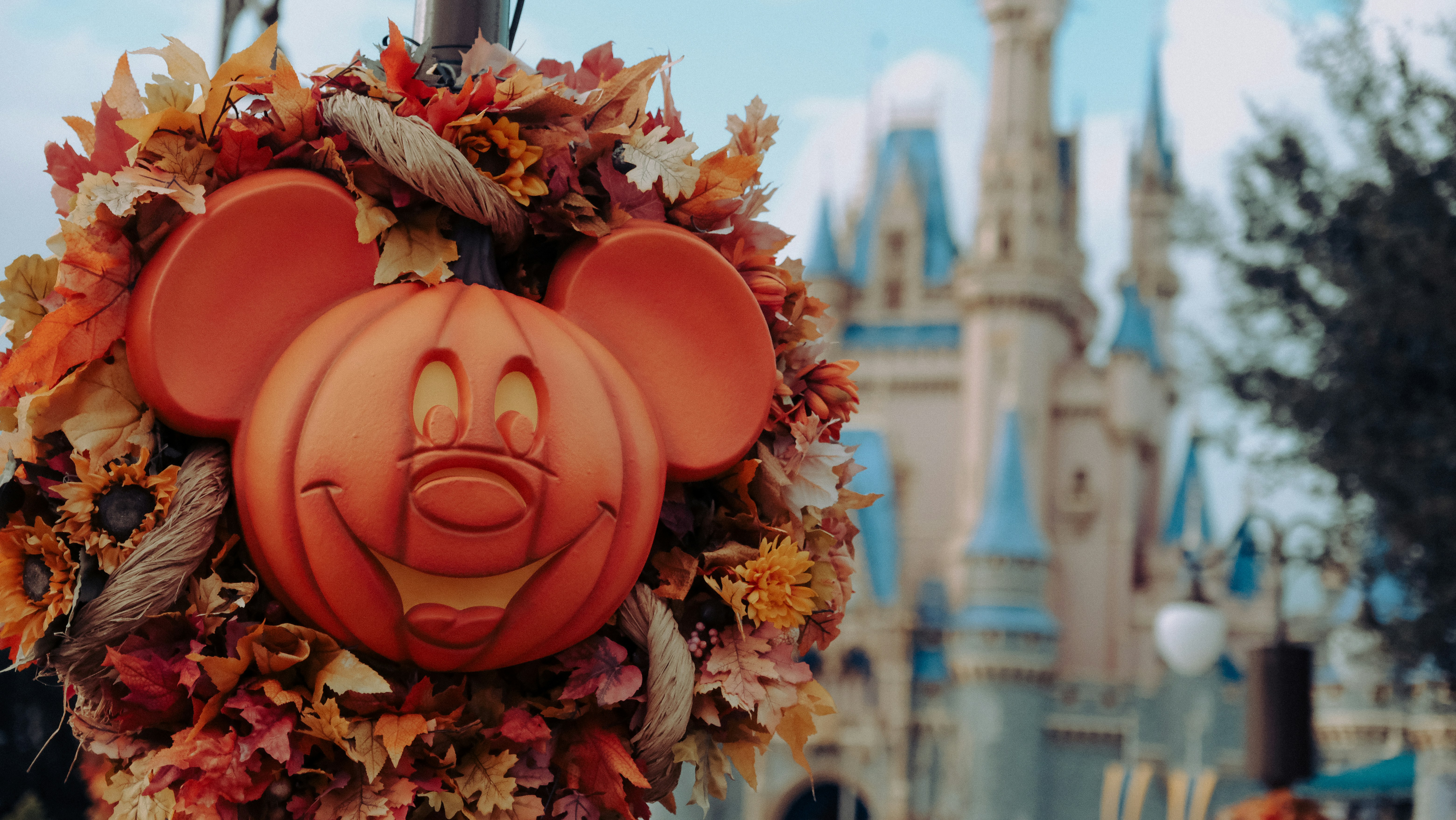 DVC resale – Explore magical Disney resorts and adventures.