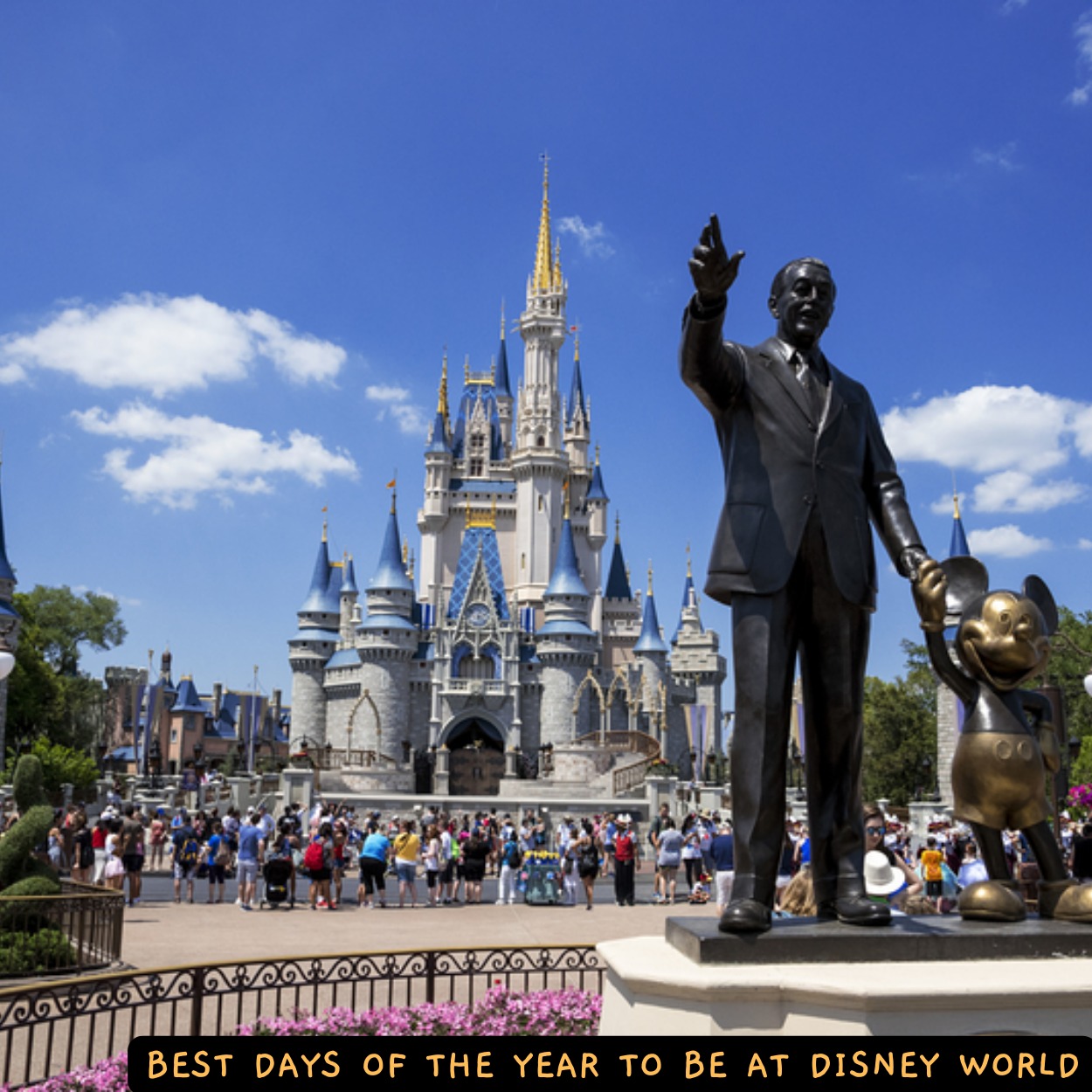 DVC resale &ndash; Explore magical Disney resorts and adventures.
