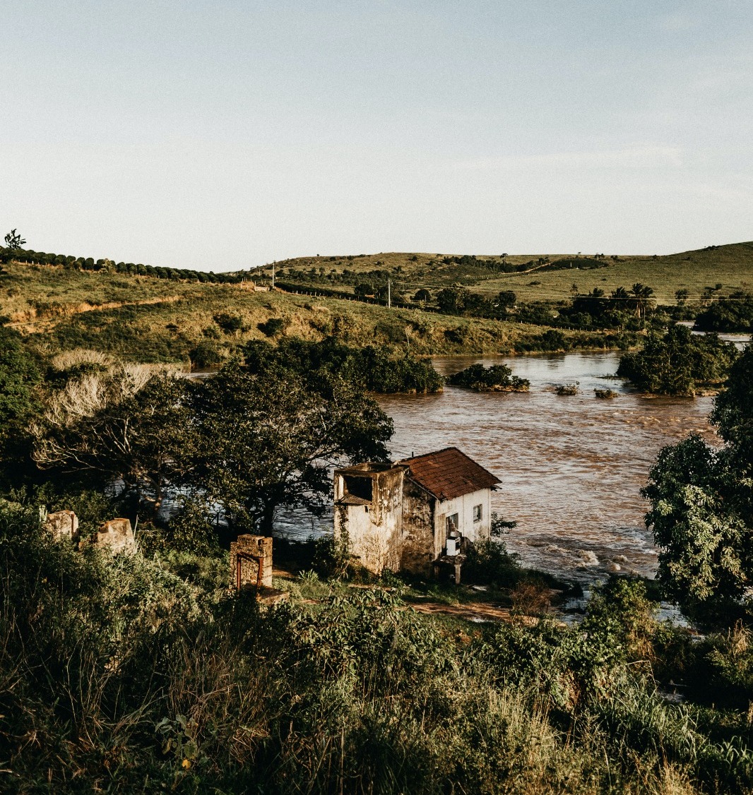 DVC resale – Explore magical Disney resorts and adventures.