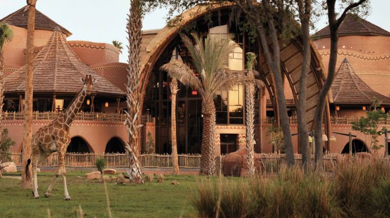 DVC resale – Explore magical Disney resorts and adventures.