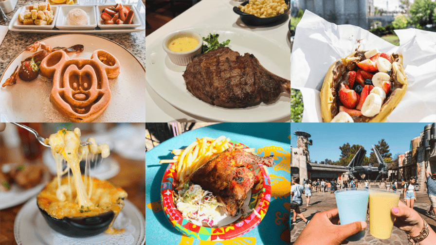 DVC resale - Explore magical Disney resorts and adventures.