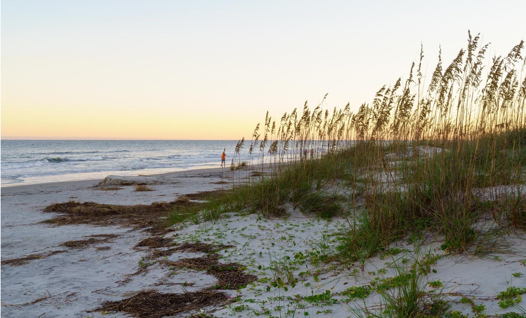 Disney Vacation Club Resort