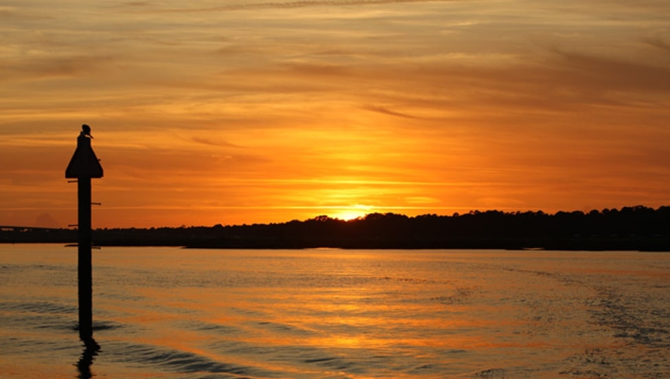 Disney Vacation Club Resort